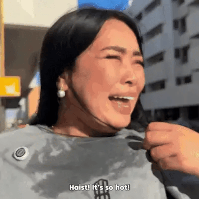 Sanford - Rechargeable Hand Fan