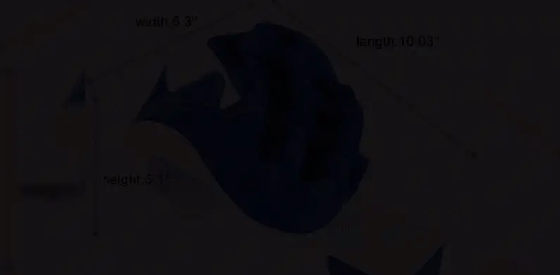 The Neck Muscles Support Muscle Relaxation and Relaxation